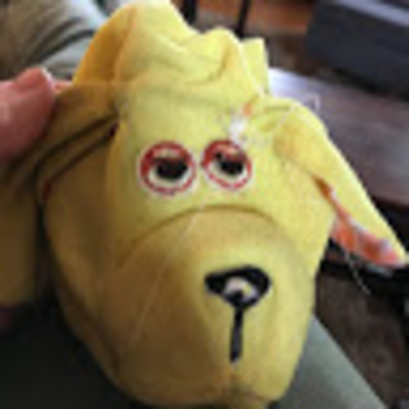 cortneygolub